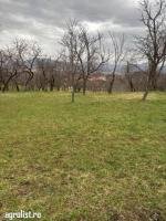 Teren satu nou de jos - 6