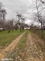 Teren satu nou de jos - 7