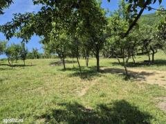 Parcele de teren în Baia Mare!