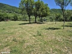 Parcele de teren în Baia Mare! - 2