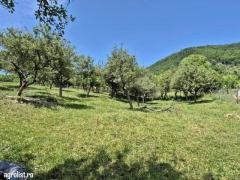 Parcele de teren în Baia Mare! - 5