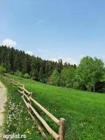 Teren pentru cabană, pensiune, casă